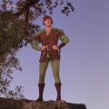 The Adventures of Robin Hood (1938)